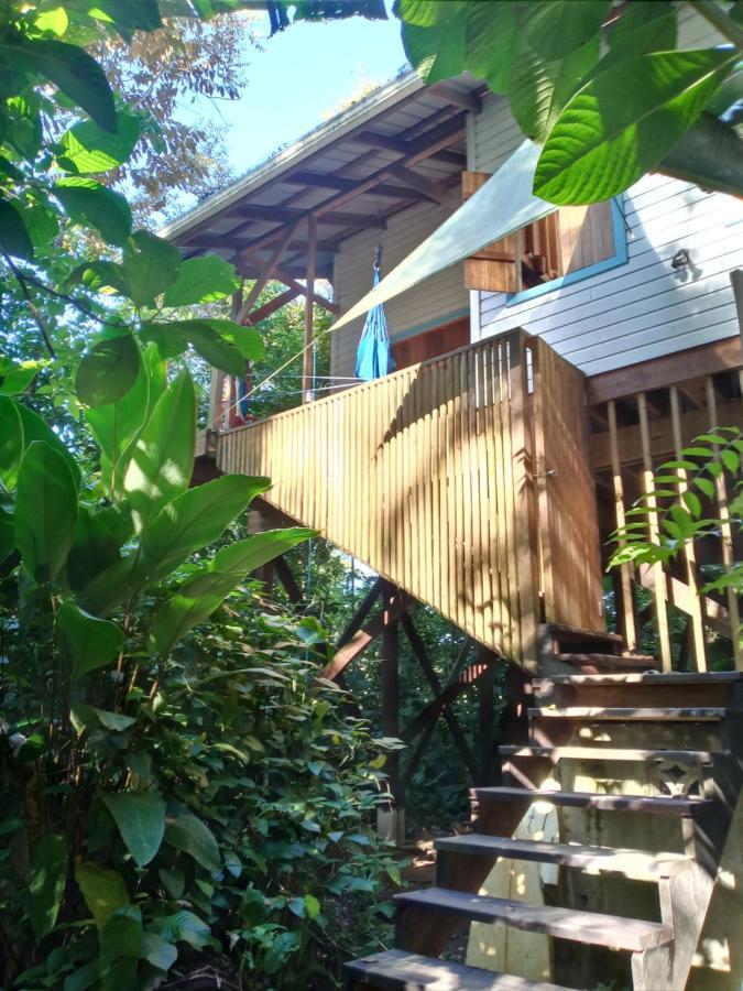 보카스 타운 Jungle Paunch 빌라 외부 사진